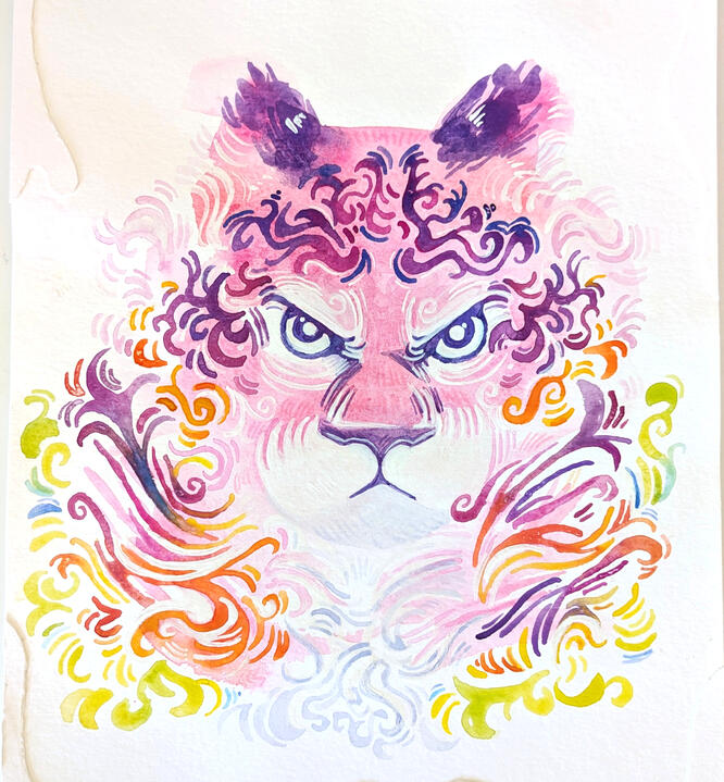 illustrations